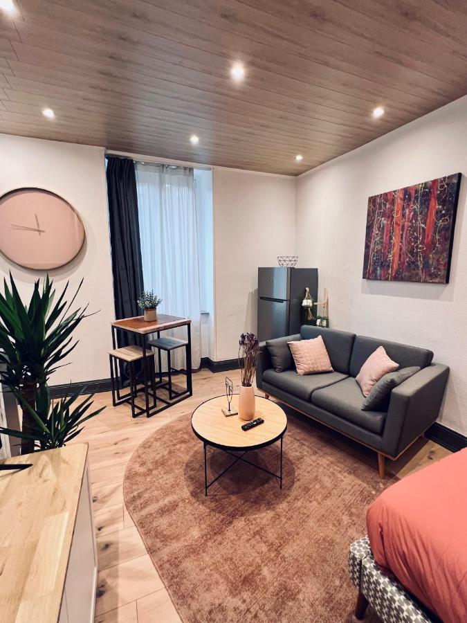 Jadore - Appartements meublés Mulhouse Ville Esterno foto